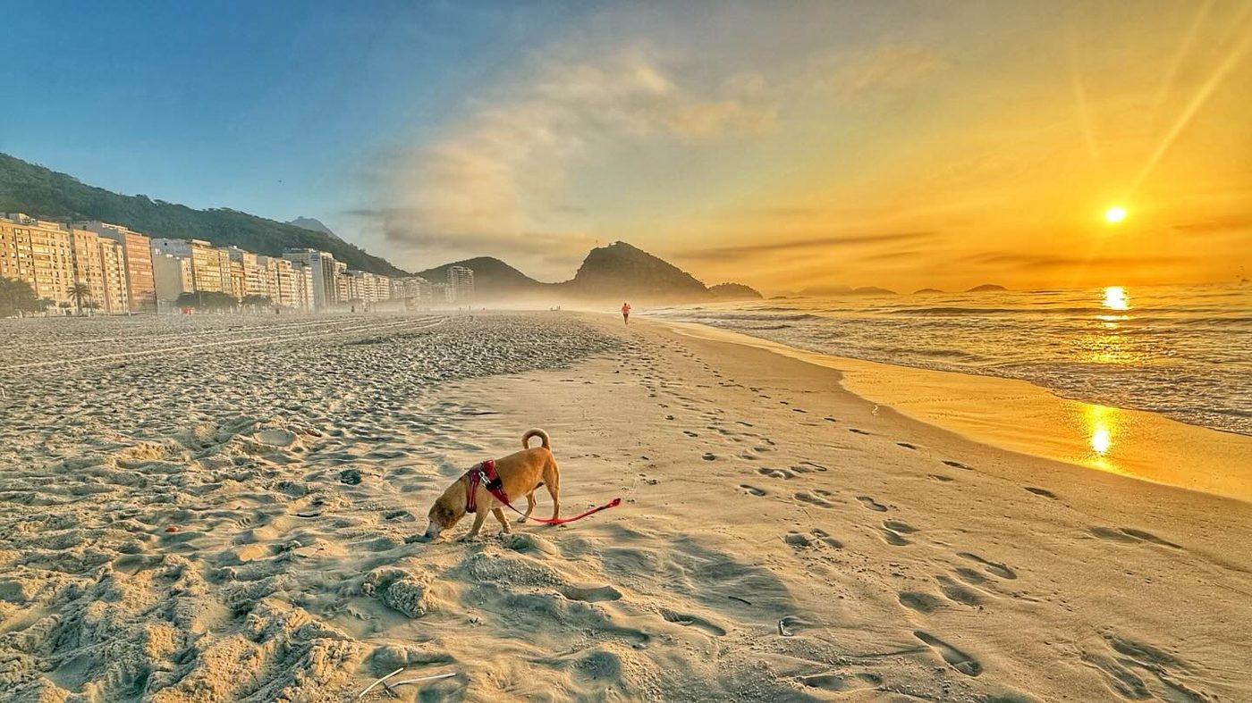 Nascer do sol na Praia do Leme
